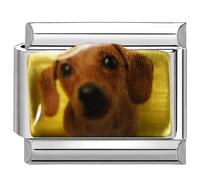 UNY JEWEL Adorable Dog Italian Charm 9mm Stainless Steel Link - Enamel Pet Portrait Design Bracelet Accessory