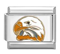 UNY JEWEL Majestic Eagle Italian Charm 9mm Stainless Steel Link - Enamel Raptor Design Bracelet Accessory