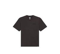 Uomo Dickies PLENTYWOOD TEE DK0A866BH861 ACID BLACK T-SHIRT
