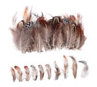 Uonlytech 300pcs Colored Plumes for DIY Crafts Natural Decorations for Vase Floral Arrangements Dream Catchers and Costume Accessories Assorted Patterns and Durable Design