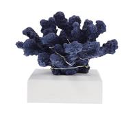 Uonlytech Realistic Resin Coral Ornament with LED Light, Lightweight and Stable Aquarium Decor for Entryway Or Living Room, Artificial Coral Decoration Creating Romantic Ocean Ambiance