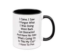 UoQo Funny Mug for Senior Citizens, I Came I Saw I Forgot What I was Doing Coffee Tea Cup, Elderly Gifts for Women Men 70th 80th 90th Birthday Mothers Day Fathers Day Mugs Gift