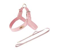 UOSIA Adjustable Dog Harness And Leash Set Y-Shaped Leather Pet Harness With Metal D-Rings No Pull Dog Halter Vests For Walking, Training, And Daily Activities