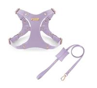 UOSIA Adjustable Soft Leather Dog Harness And Leash Set For Small Medium Dogs Comfortable No Pull Dog Harness With 2 Leash Clips For Pet Training Walking
