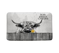 UOZXOML Farmhouse Highland Cow Bath Mat Rustic Flower Longhorn Animal Hello Sweet Cheeks Bathroom Rug Microfiber Memory Foam Shower Mat Kitchen Bath Floor Rugs, 18x30 Inch