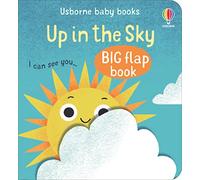 Up In The Sky (Baby's Big Flap Books)