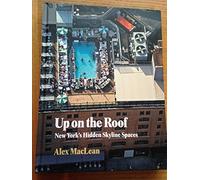 Up on the Roof: New York's Hidden Skyline Spaces