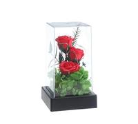 Up Rose in Acrylic Box Preserved Flowers Artificial Flowers, Red
