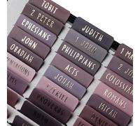 UPAFEXXI-Laminated Bible Tabs with Book Summaries