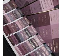 UPAFEXXI-Laminated Bible Tabs with Book Summaries(Gold Foil Embossed Lettering), Bible Tabs for Women and Men, Reposition Large Print Stickers, Easy to Read, 80Chapters Labels for Easy Navigation