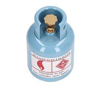 UPALDHOU Decoration of Unique Gas Bottle Piggy Banks, Plastic Crafts with Great Capacity for Children (Blue)