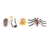 UPALDHOU Life Cycle Growth Model Toy Educational Growth Figurines for Kids with Realistic Design 4 Stages of Development for School Projects (#1)