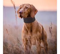 UPALDHOU Pet Collar Durable Widen Small Dog Collar for Greyhound Whippet Double Rivet Fixing Brown for Dog Walking Training