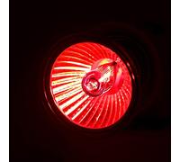 UPALDHOU Precise UVA UVB Reptile Heating Light Bulb Durable Infrared Ray Sunlight Lamp for Pet Eco-friendly Low Power Consumption Appetite Suitable for Reptiles (35W)