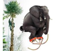 Upgrade Manganese Steel Tree Climbing Spikes Kit - Professional Gear with Safety Belt & Foot Strap for Arborists, Power Workers, and Fruit Pickers - Easy to Use, 350mm/13.8''