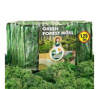 [Upgraded] DUSPRO Green Moss for Crafts, Real Forest Moss Potted Plants, Decorative Mosses for Table Centerpieces Wedding Christmas Fairy Party Decor, Indoor Planters, DIY Project (1.25 Lbs)