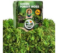 [Upgraded] DUSPRO Green Moss for Crafts, Real Forest Moss Potted Plants, Decorative Mosses for Table Centerpieces Wedding Christmas Fairy Party Decor, Indoor Planters, DIY Project (2 Oz)