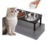 Upgraded Elevated Cat Bowls with Food Mat,15°Tilted Stand Anti Vomiting Raised Cat Dishes for Food and Water,2 Stainless Steel Bowls for Cats and Puppy(Black)