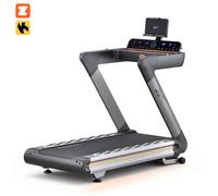 Reebok Z-Tech Treadmill (AC Motor)