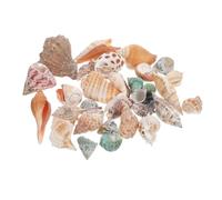 UPKOCH 1 Set Conch Garnish Decorations Aquarium Seashells Fish Tank Decorative Fish Tank Conch Adornment Fish Tank Landscaping Decor Crabs Shell Conch Decor Conch