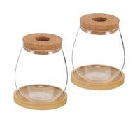 UPKOCH 2 Sets Hydroponic Plant Bottles with Clear Borosilicate Glass and Bamboo Saucers Transparent Root Observation Planters for Indoor Herb Growing Micro Landscape Propagation Station