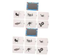 UPKOCH 2 Sets Lenticular Animation Science Kit for DIY Visual Illusion Stem Experiment for Early Education Lenticular Lens Animation Stripe Project to Develop Problem-solving and Critical