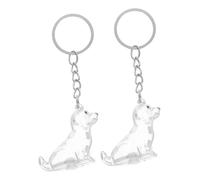 UPKOCH 2pcs Transparent Dog Hair Keepsake Box Abs Pet Hair Organizer Keychain for Puppies Pendant Storage Portable Memorial Souvenir Holder for Collecting and Displaying