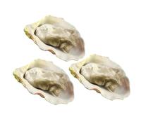 UPKOCH 3pcs Realistic Fake Oyster Models Seafood Play Food for Restaurant Decoration and Display Lifelike Shellfish Props for Home Catering Museum Educational Use