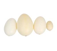 UPKOCH 4pcs Bird Egg Simulation Models Realistic Speckled Eggs for Educational Painting Practice