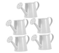 UPKOCH 5pcs Mini Iron Watering Can Decorative Kettle for Succulents and Small Plants Indoor Garden Use with Bright Candy Color Finish