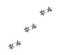 UPKOCH 6 pcs Halloween Pet Neck Collar Black Green Purple Party Accessory for Dogs Cats Fancy Dress Birthdays Photo Shoot