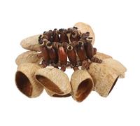 UPKOCH African Tribal Nut Shells Shaker Bracelet Handbell for Dance and Percussion Natural Wristband Rattle Instrument for Yoga Parties Adults