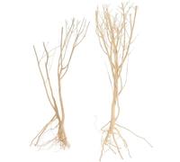 UPKOCH Aquarium Underwater Dry Twig Ornament 2pcs Brazilian Driftwood Moss Tree Branches Fish Tank Landscape Decor Natural Wood Aquascaping Accessories for Freshwater Tanks
