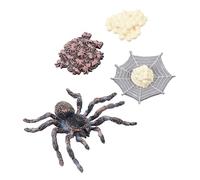 UPKOCH Artificial Animal Figure Set Life Cycle Educational for Realistic Growth Stages Safe Plastic Material for Garden Decor Photo Props