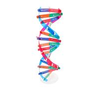 UPKOCH Double Helix DNA Model Kit Self-Assembling Educational Science Toy for Boys and Girls Classroom Teaching Aid for Biology Experiments for Science Exploration