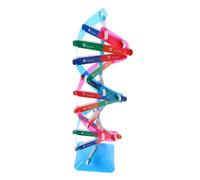 UPKOCH Gene Aids Model of Dna Scientific Double Helix Model Dna High Level Chemistry Learning Tools