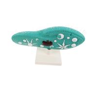 UPKOCH High-fidelity Paramecium Model with Stand Intricate Cilia Details Educational Biology Lab Equipment for Middle School Science Fair and Protozoan Teaching Aid