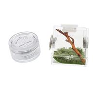 UPKOCH Jumping Spider Habitat Box Small Size with Built-in Humidifier and Feeding Port, Mini Lamp Included, Portable Enclosure for Florida Jumping Spiders and Insects