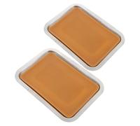 UPKOCH Laboratory Dissecting Trays Set 2pcs Metal Trays for Biology Science Equipment Easy Clean Surface