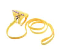 UPKOCH Pet Leash for Small Pets Like Guinea Pig Pig Harness and Bunny Leash Comfortable Harness Traction Rope for Squirrel Hedgehog and Bearded Dragon for Outdoor Supplies