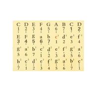 UPKOCH Piano Stickers for Keys Keyboard Stickers Numbered Musical Notation for Piano Keyboard Boys and Girls Practice