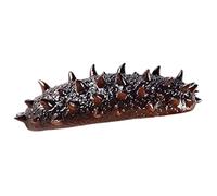 UPKOCH Realistic Sea Cucumber Model Decorative Prop for Restaurants Lifelike Sea Cucumber for Food Photography Play for Home Decor Teaching Tools