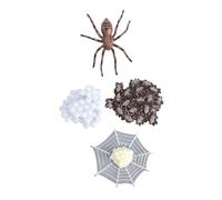 UPKOCH Simulation Animal Growth Model Spider for Educational Natural Science Learning Realistic Insect Life Cycle Figurines for Preschoolers Home Decoration and Storytelling Props