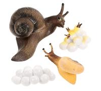 UPKOCH Snail Growth Cycle Models Educational Cycle for Lightweight Simulation Teaching Props for Biology Learning and Home Decoration