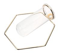 UPKOCH Wall Mounted Hexagonal Glass Vase with Iron Frame Decorative Plant Propagation Station for Hydroponic Flowers Elegant Nordic Style Home Office Garden Decor