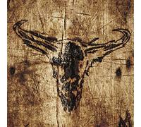 Upon A Burning Body - Southern Hostility [VINYL]