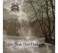 Upon Bleak Grey Fields