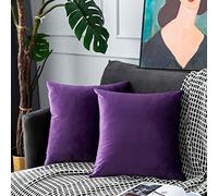 UPOPO Dark Purple Velvet Throw Pillow Covers Soft Solid Decorative Pillowcase Set Euro Square Cushion Case for Sofa Bedroom Chair Bench 2 Pcs 22 x 22 inch