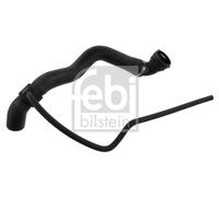 UPPER RADIATOR HOSE 36145