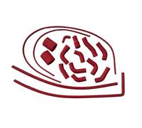 Upper Radiator Hose Pipe Compatible with Ferrari for 360 for Modena Radiator Coolant Hose Air Intake Tube Overflow Pipe Accessories 181757(Red)